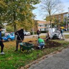 Succes met de Bollenblitz