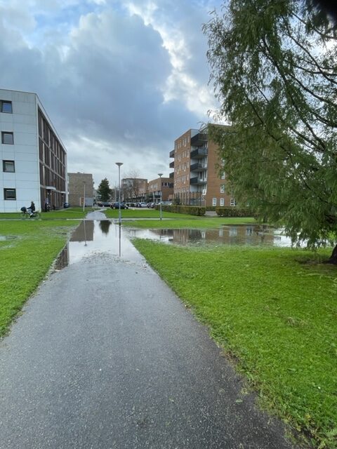 Na de storm