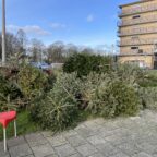 Kerstbomenactie een groot succes !