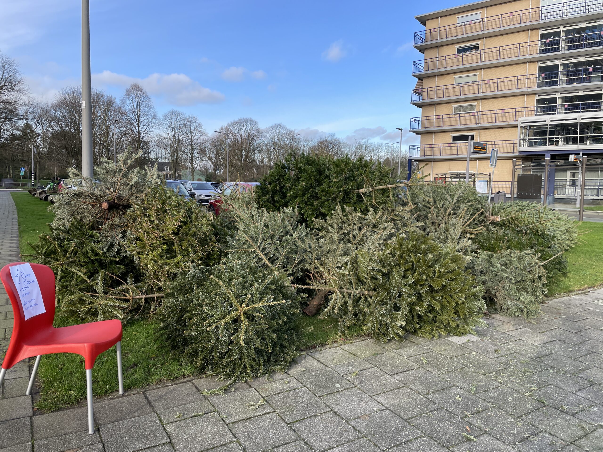 Kerstbomenactie een groot succes !