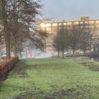 Steigers Jasonpark worden schoongemaakt