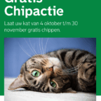 Gratis chipactie voor katten