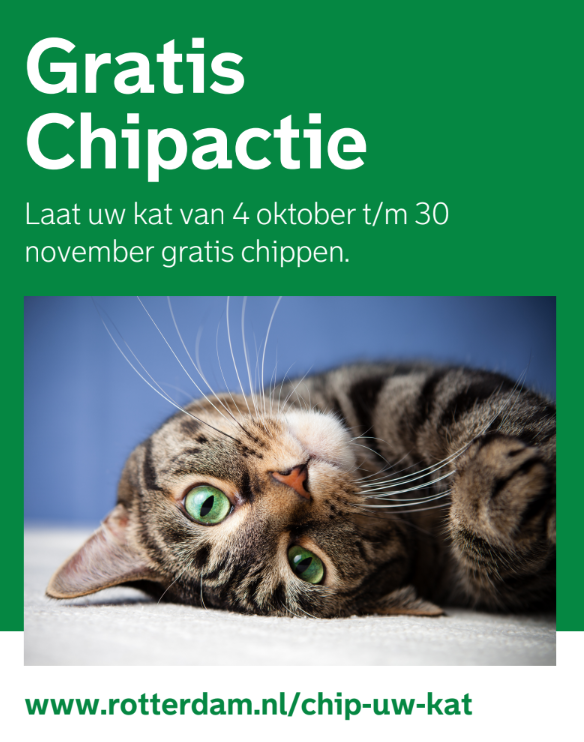 Gratis chipactie voor katten