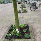Wijk voor wijk in 110-Morgen