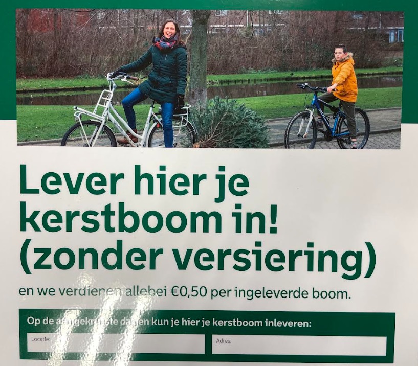 Lever uw kerstboom in !