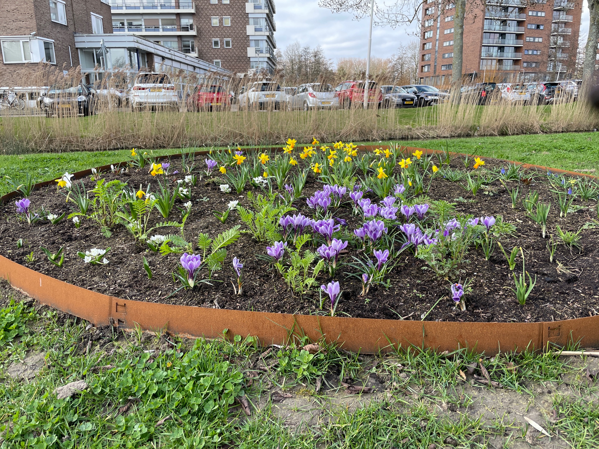 Acties weekend 21 & 22 maart